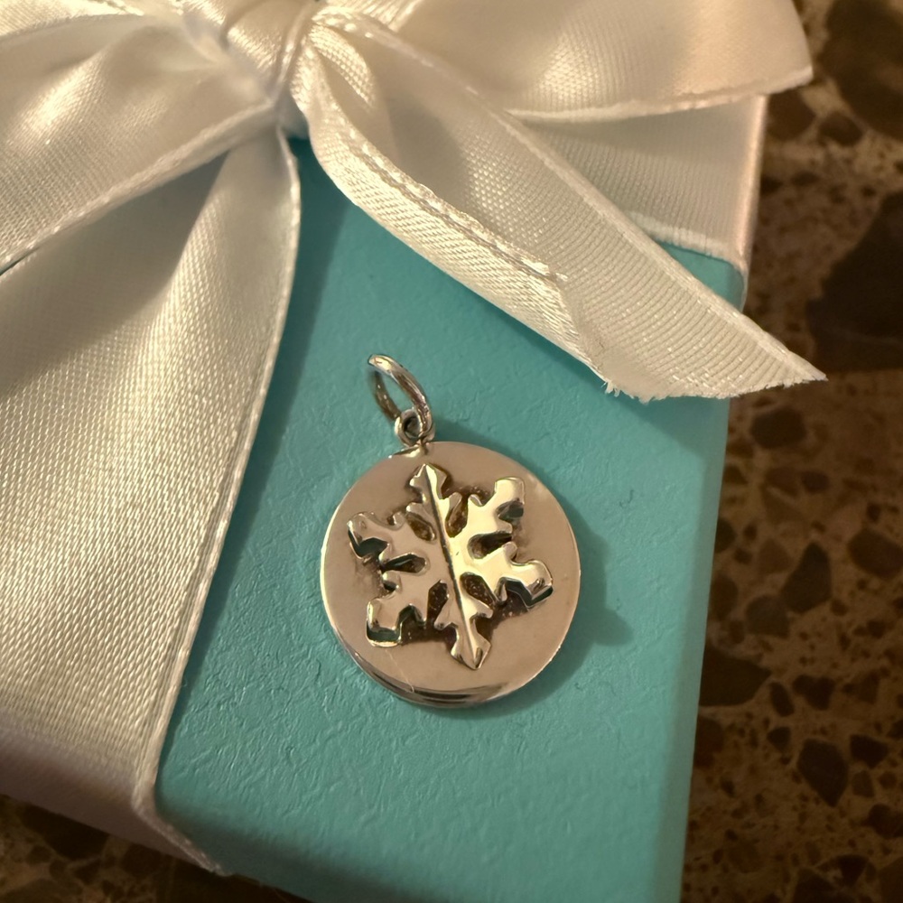 TIFFANY & CO. ❄️ Snowflake .925 Silver Pendant Charm - Authentic and Rare